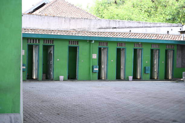 Best Local porta potty services  in Wallburg, NC